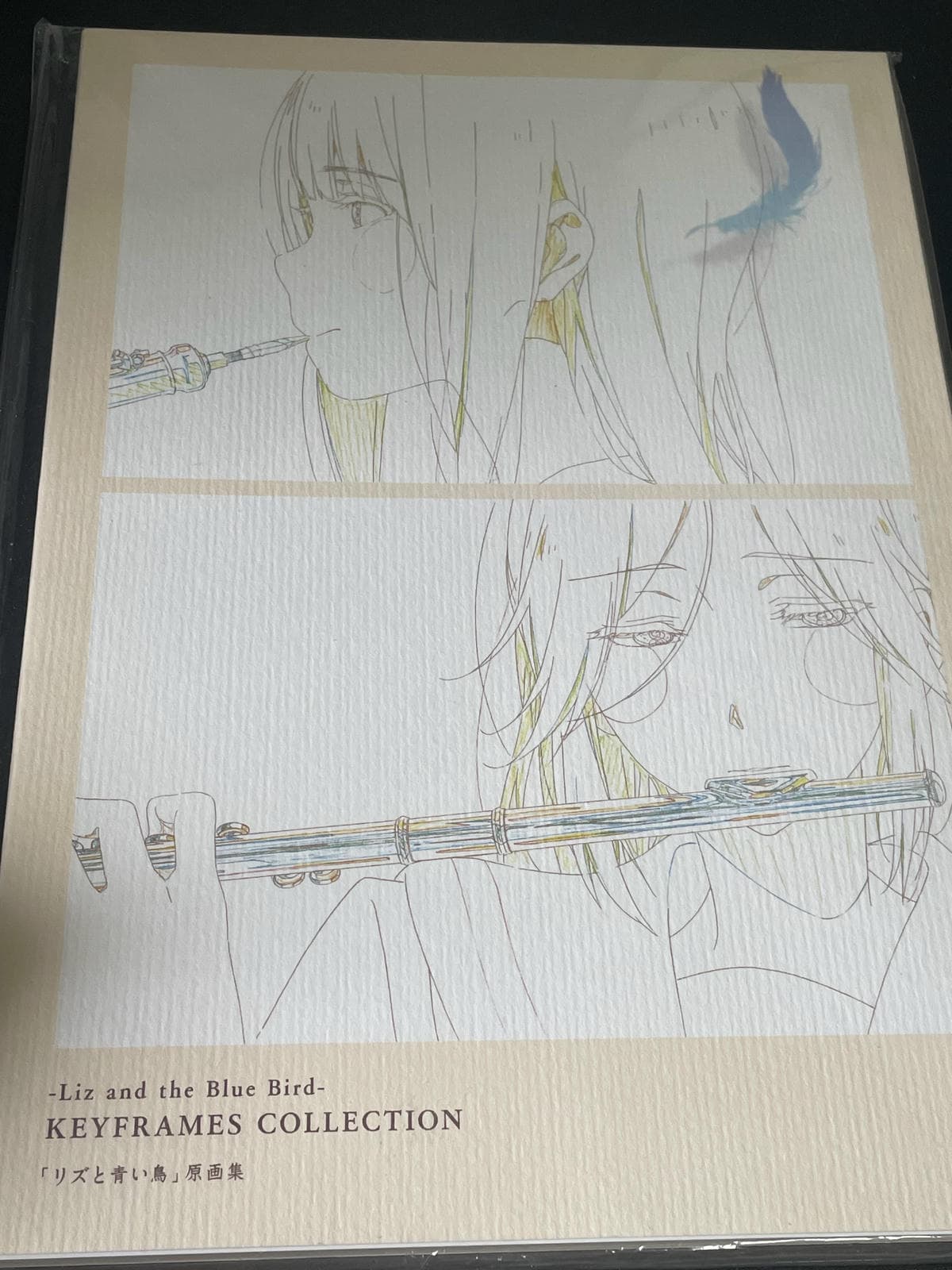 kyoani